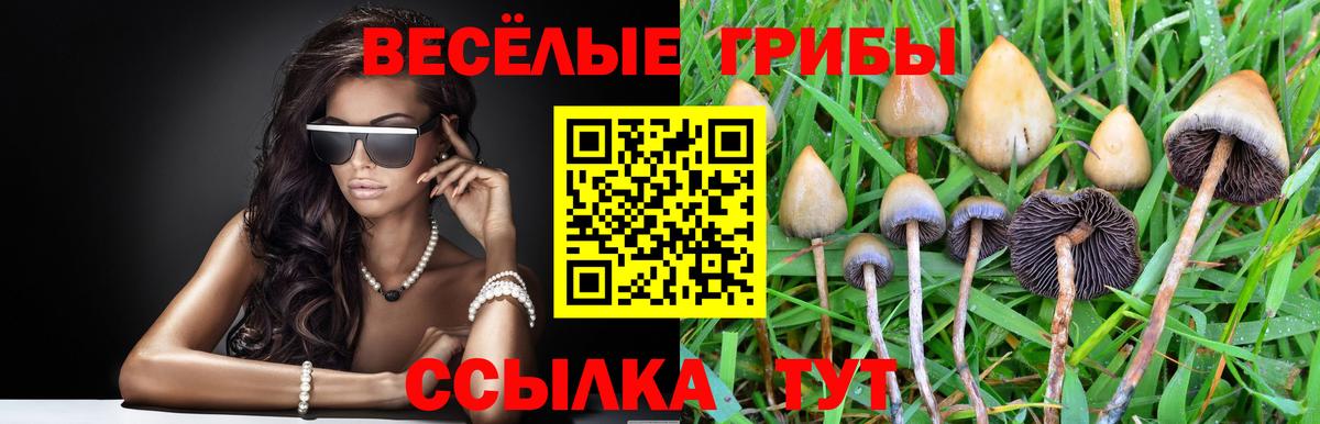 Галлюциногенные грибы ЛСД Дзержинск