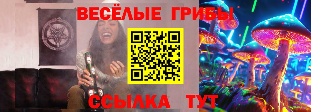 Галлюциногенные грибы ЛСД  Галлюциногенные грибы Psilocybine cubensis  где продают   Дзержинск  Вход с VPN 
